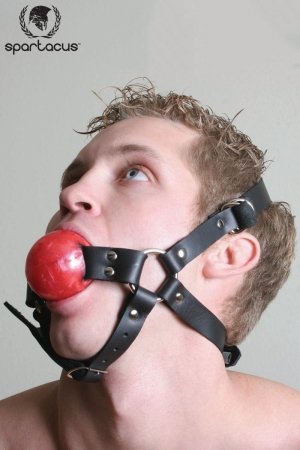 5322_300_head_harness_ball_gag.jpg