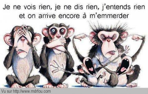 LEs-trois-petits-singes.jpg