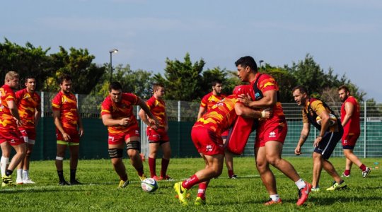 USAP-vs-LOU-Entrainement-9050024.jpg